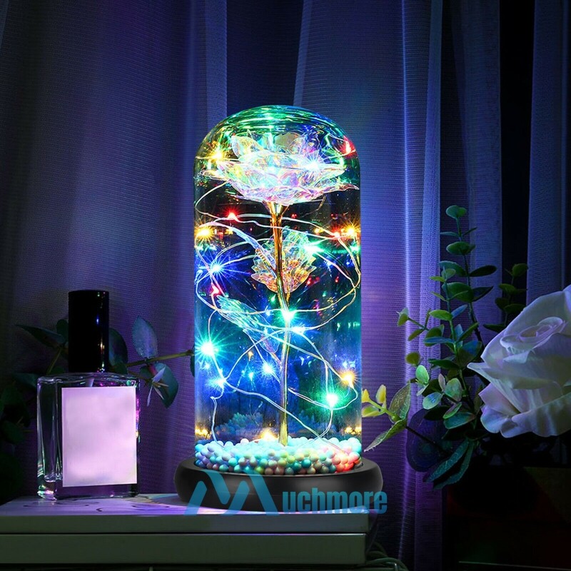 La Rose éternelle illumine le cadeau à la femme décédée dans un dôme de verre