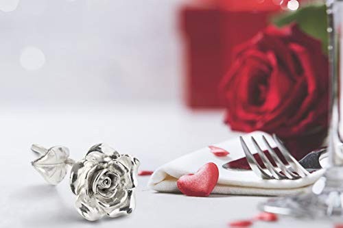 Beszone Tin Rose 10Th Anniversary For Her Gift – Tin Gift 10 Year Wedd