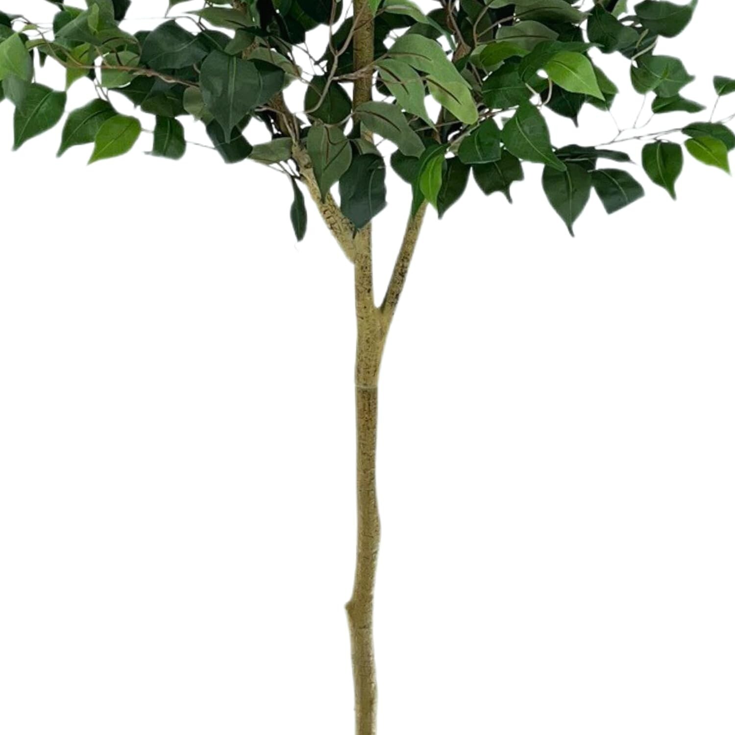 Moss & Bloom 6ft Artificial Ficus Tree in Planter Natural Look Low Maintenace