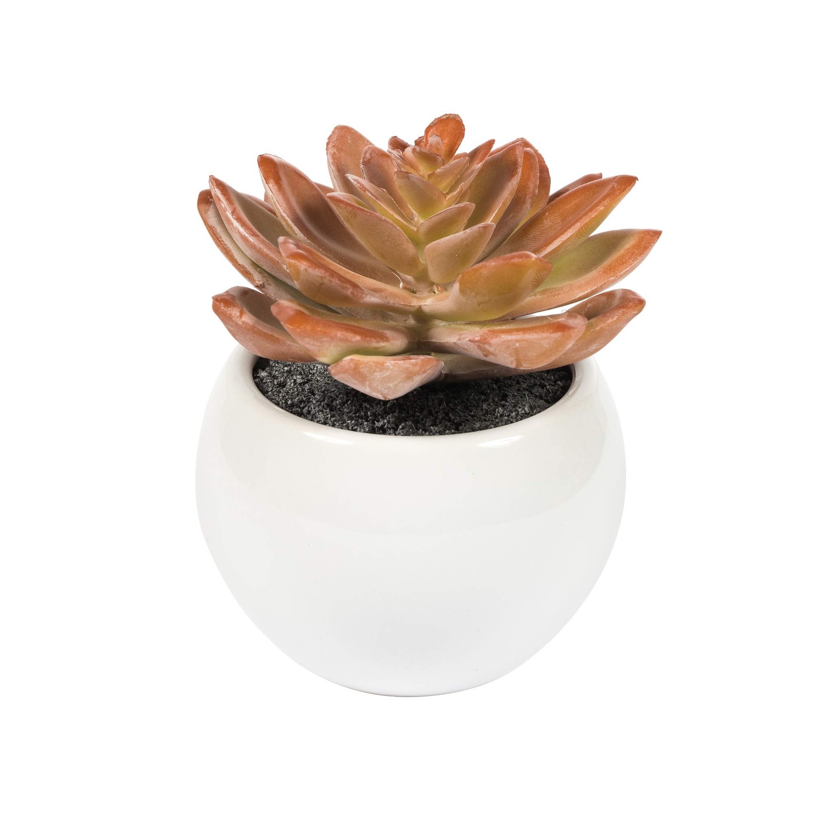 Vickerman 5″ Plastic Artificial Assorted Potted Succulents in Green/Red/Gray