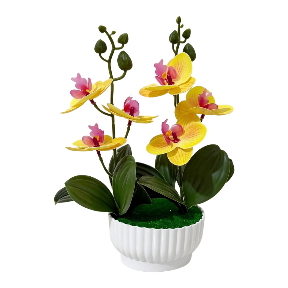 Imitation Orchid Plant with 6 Blooms 6 Leaves in Pot 26cm Indoor Decor