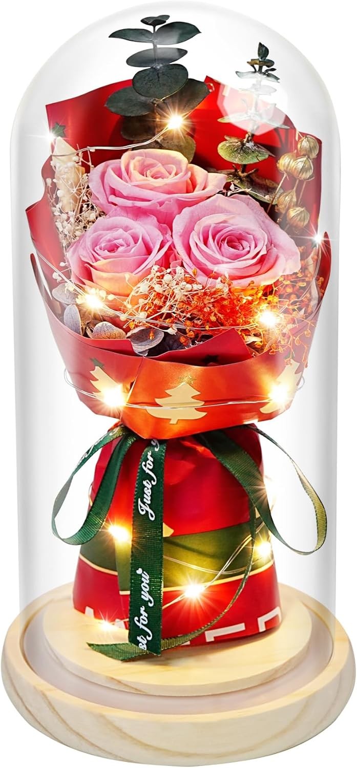 HVY Preserved Flowers in Glass for Her,Pink Real Rose Bouquet with LED Light,Ete