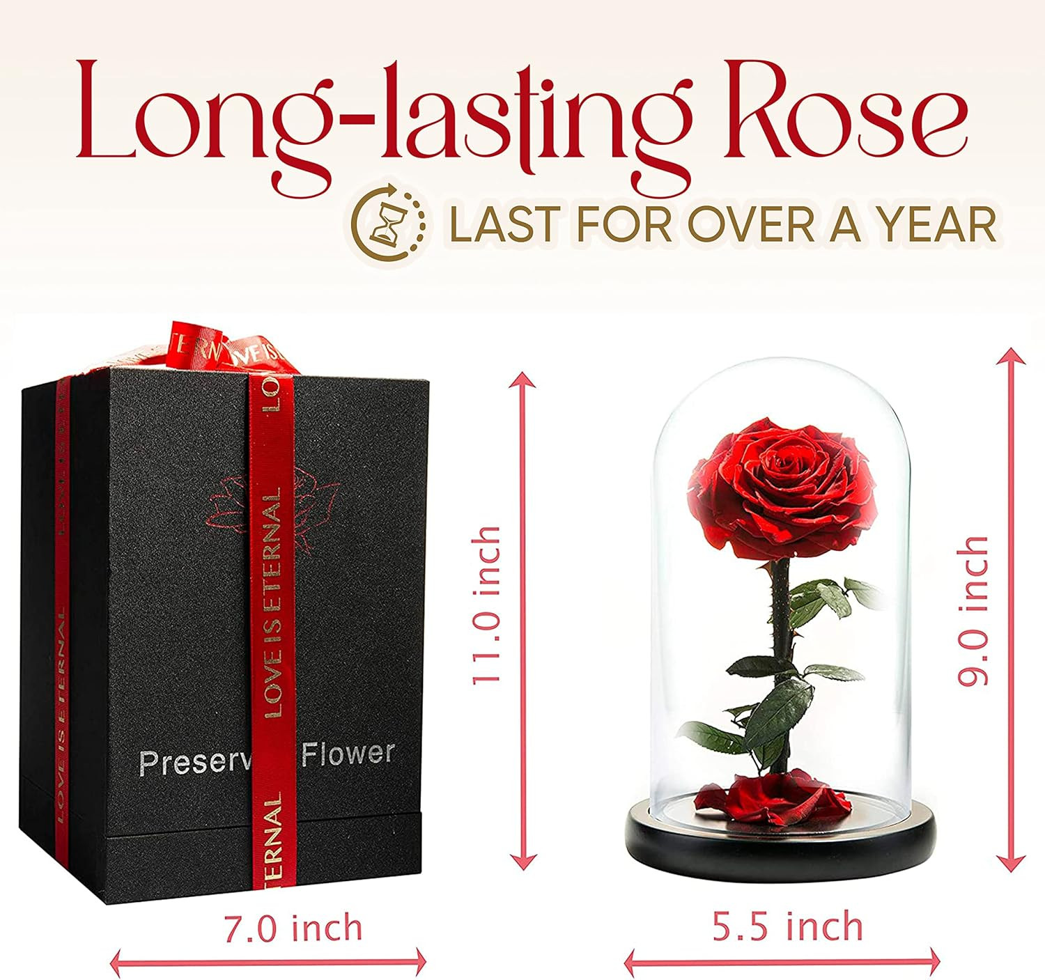 Forever Preserved Rose – Eternal Rose in Glass Dome – Beauty and the Beast Rose
