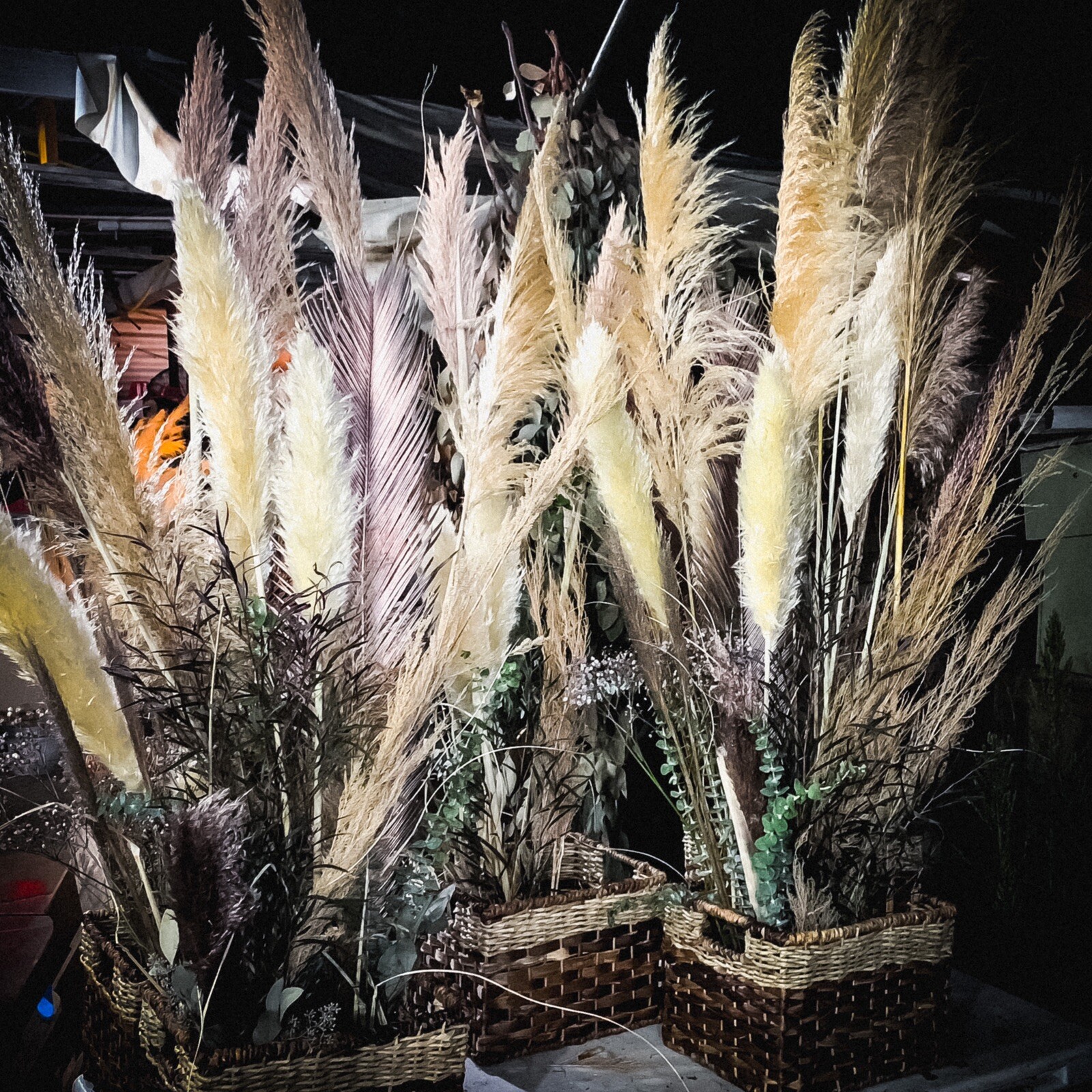 Dried flowers- Box of 12 (36”) natural white beige pampas grass