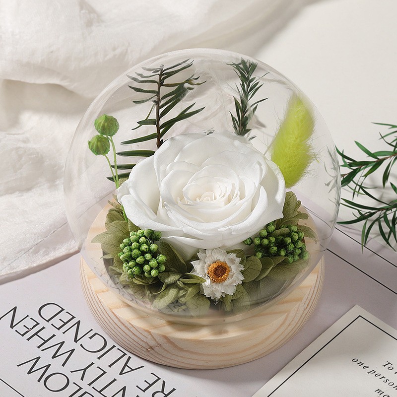 Long-Lasting Real Rose Flower, Unique Preserved Floral Gift for All Occasions