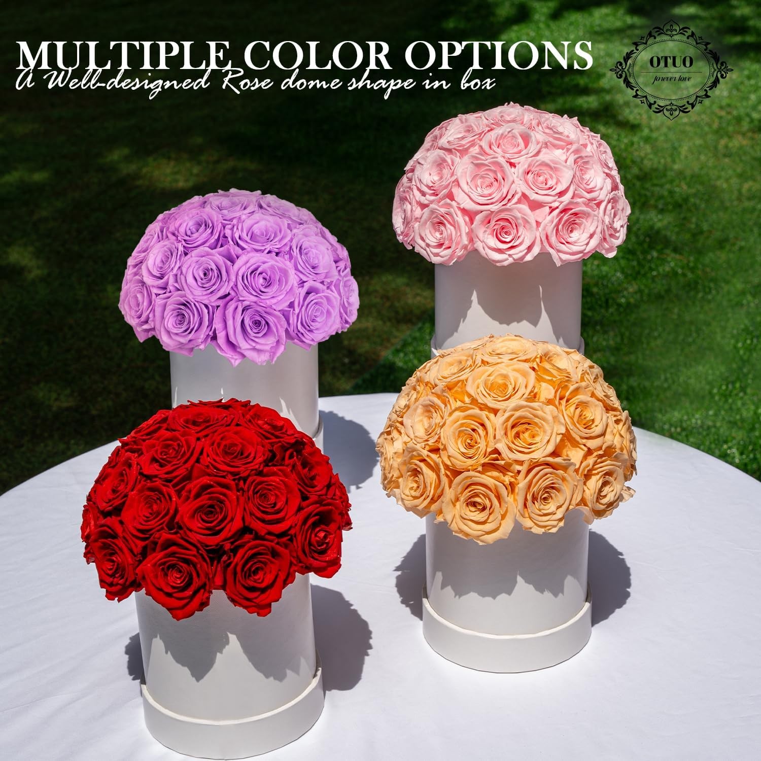 27 Preserved Roses in Round Dome Shape, Mother’s Day Real Forever Flowers Rose B