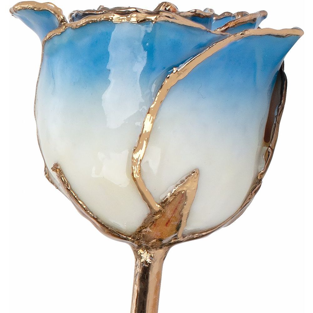 24k Gold Dipped Cream Blue Lacquer Real Rose Valentine’s Day Holiday Gift