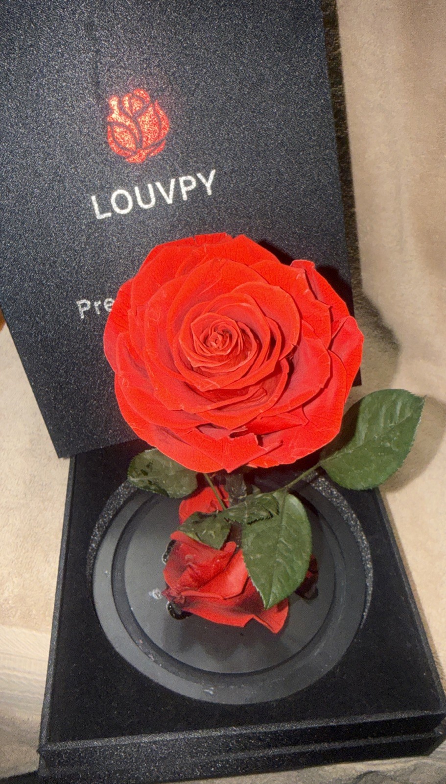 Forever Roses – Gifts Idea for Mom – Beauty and the Beast Rose in Glass Dome –