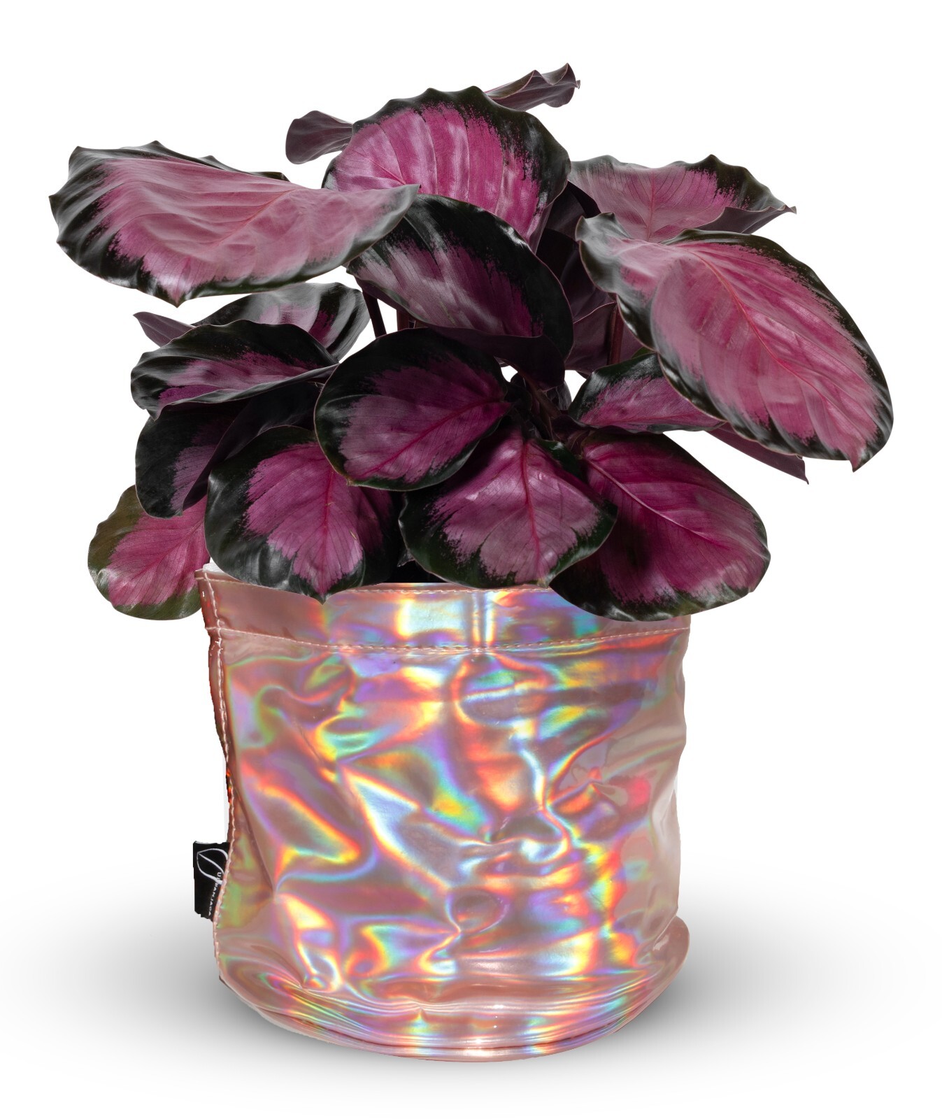 Decorative Flower Pot Cover With Saucer – Plant Basket for Up to 6″ Planter