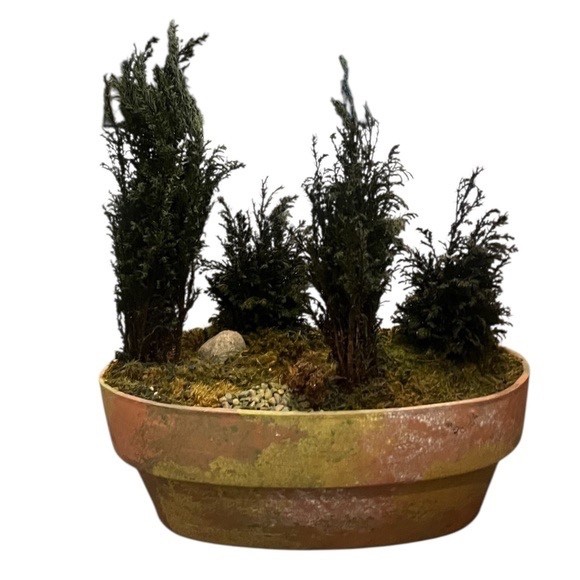 FOREVER GREEN ART Potted Quartet Mini Cypress Tree In Oval Terra Cotta Planter