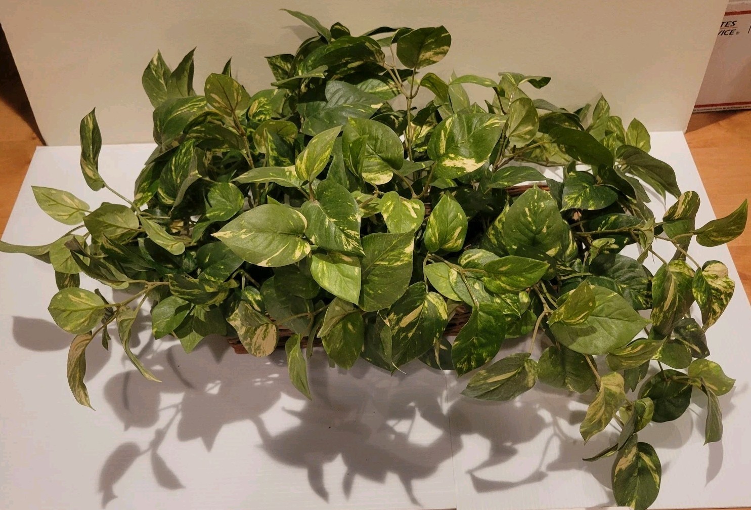 Indoor Faux Artificial Ivy Pothos Plant In Wicker Ledge Basket