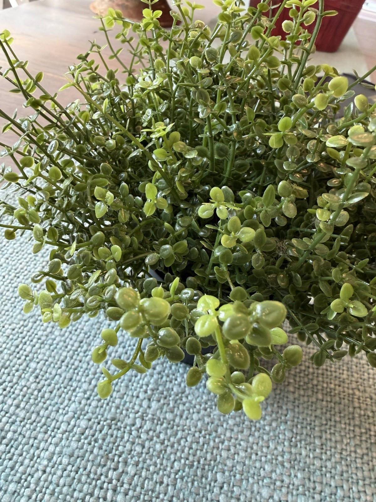 IKEA FEJKA Artificial Potted Plant Herb Thyme Indoor Outdoor 8 Inch Cottagecore