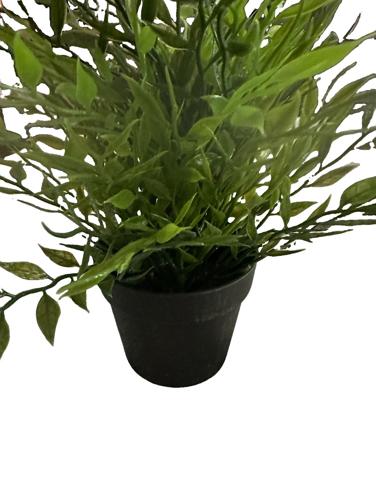 IKEA FEJKA Faux Houseplant In 3 In Pot. Artificial Plant For Indoor / Outdoor