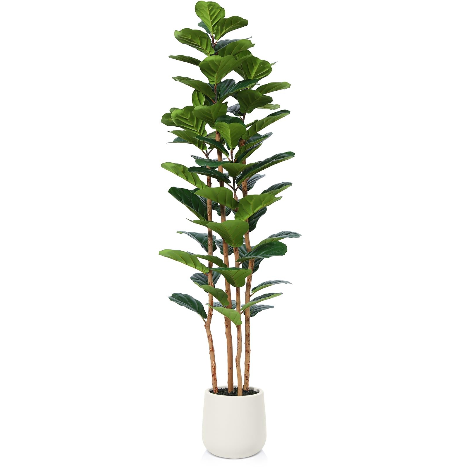 6ft Artificial Fiddle Leaf Fig Tree with White Planter 4 Wood Trunks