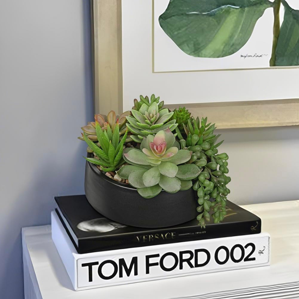 Artificial Succulent Plants in Pot 5.5 Inch Fake Succulents Arrangement Potted P