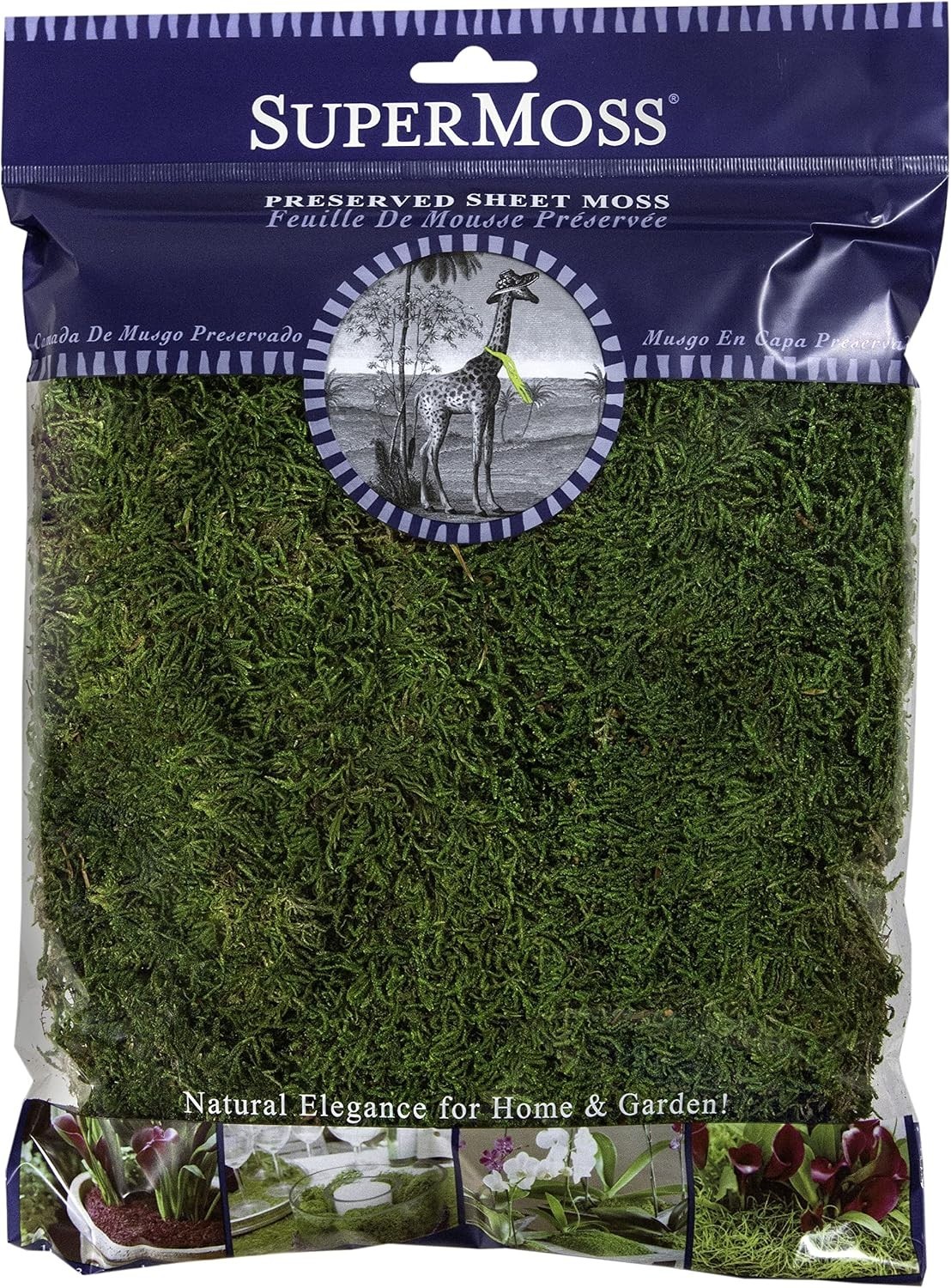 Beautifully Preserved Fresh Green Moss – 8oz Sheets for Classy Arrangements