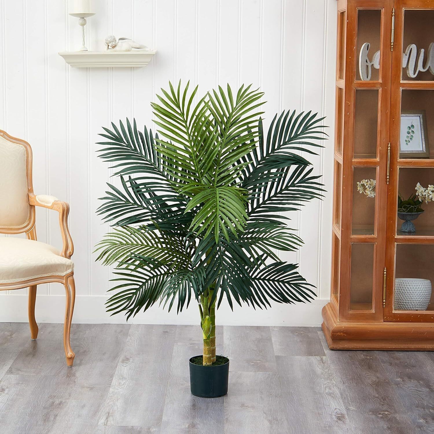 4ft. Golden Cane Palm Tree Year-round Greenery Versatile Decoraton Office Home