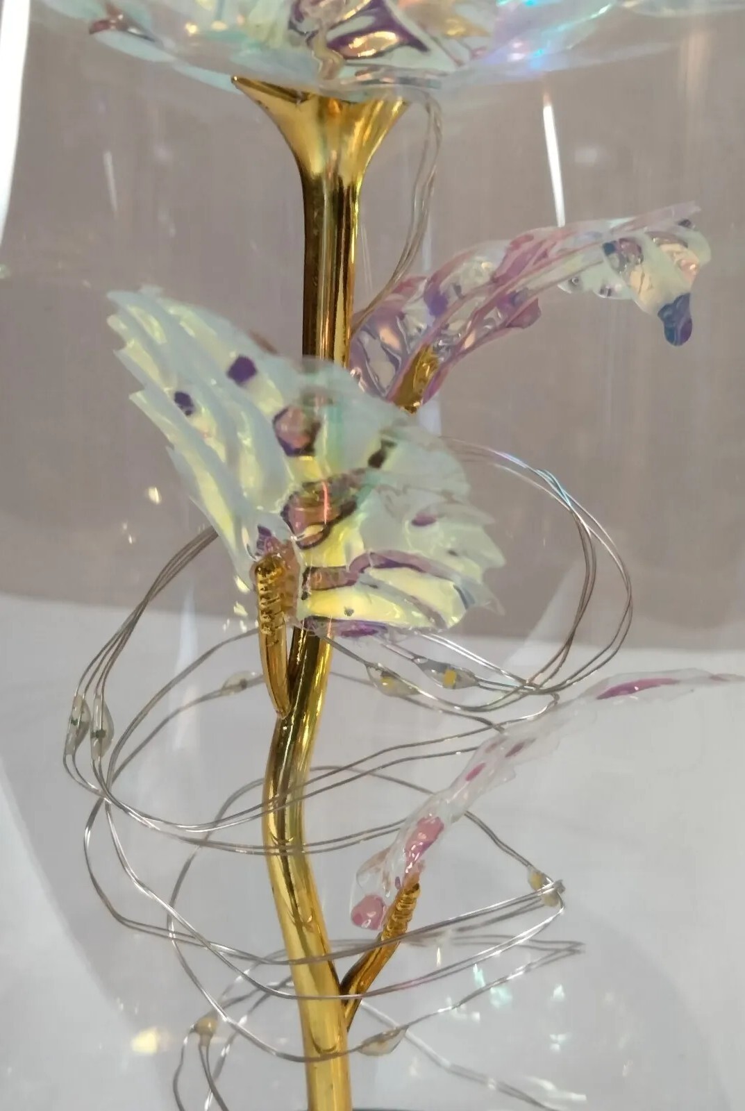 Galaxy Loves Enchanted Rose In Glass With LED Lights 9″Tall 4″Base Great Gift