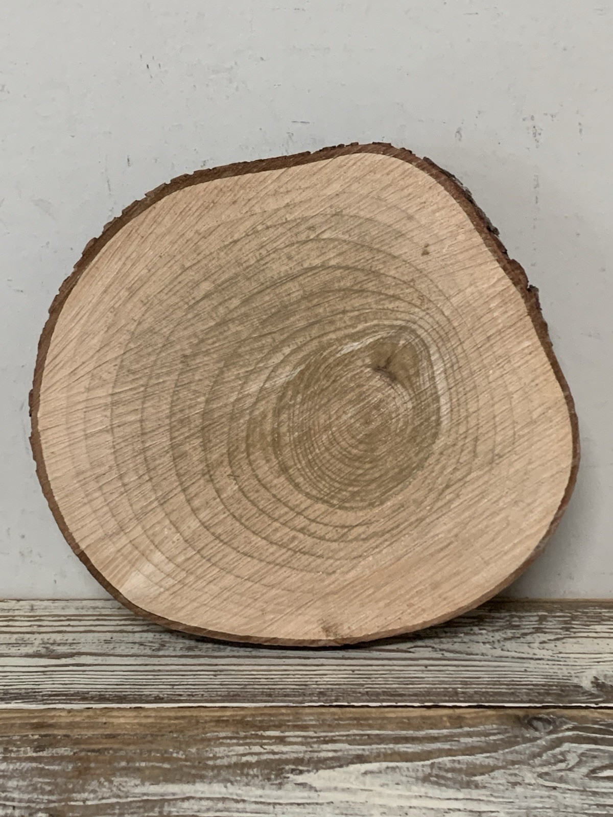 Rustic Style 2 Pc Cloche Set Rough Cut Tree Slab W/Glass Done 6.5” Tall