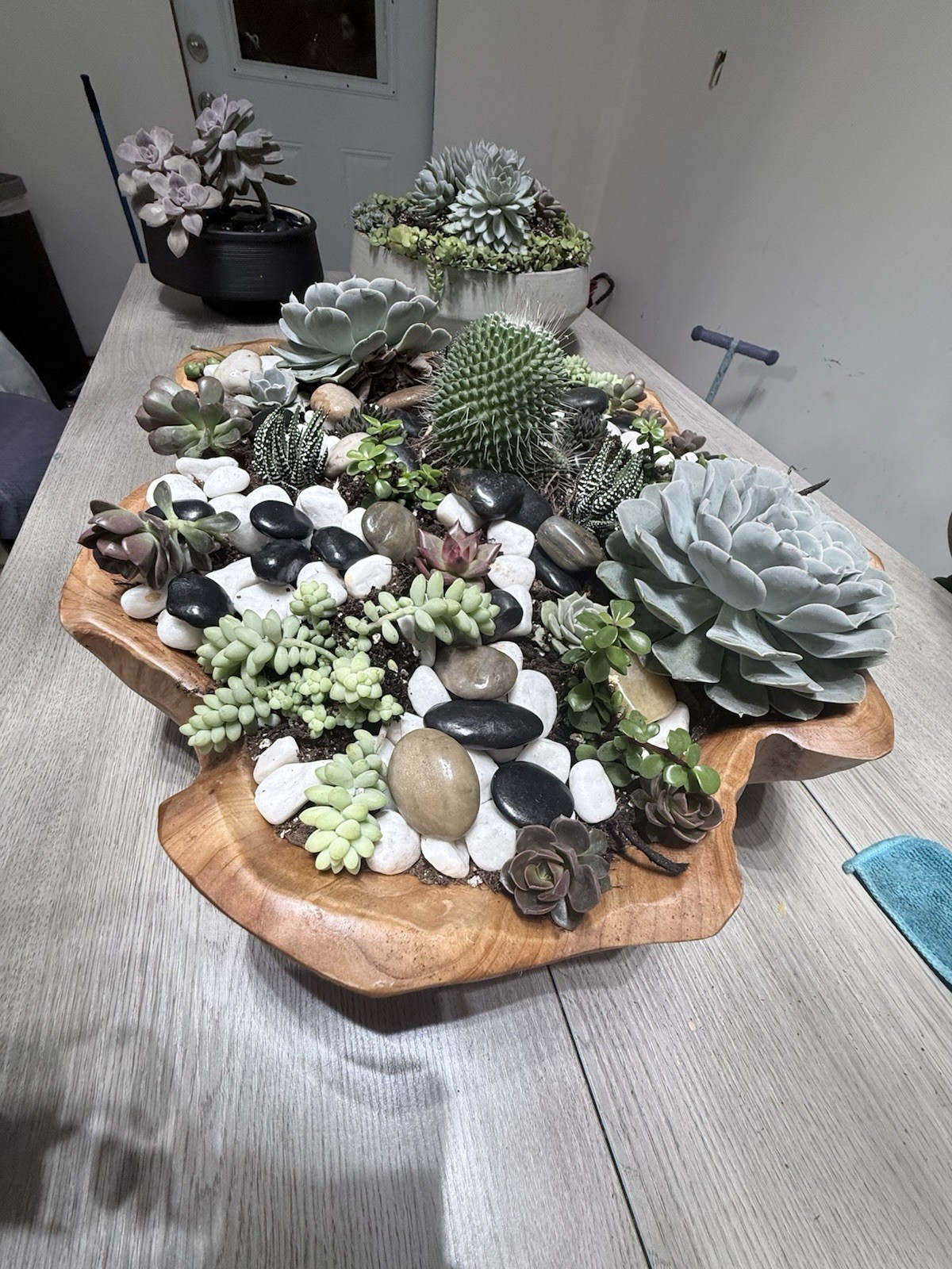 Succulent Plant Arrangement Artificial, Rectangular Wood Pot, Table Centerpiece