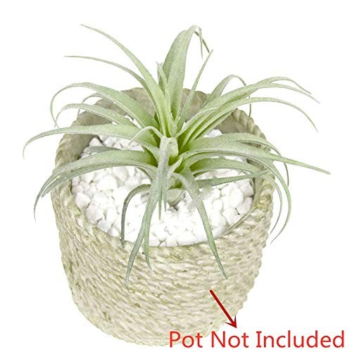 2 PCS Artificial Succulents Plants Unpotted Fake Flocking Tillandsia Air Plan…