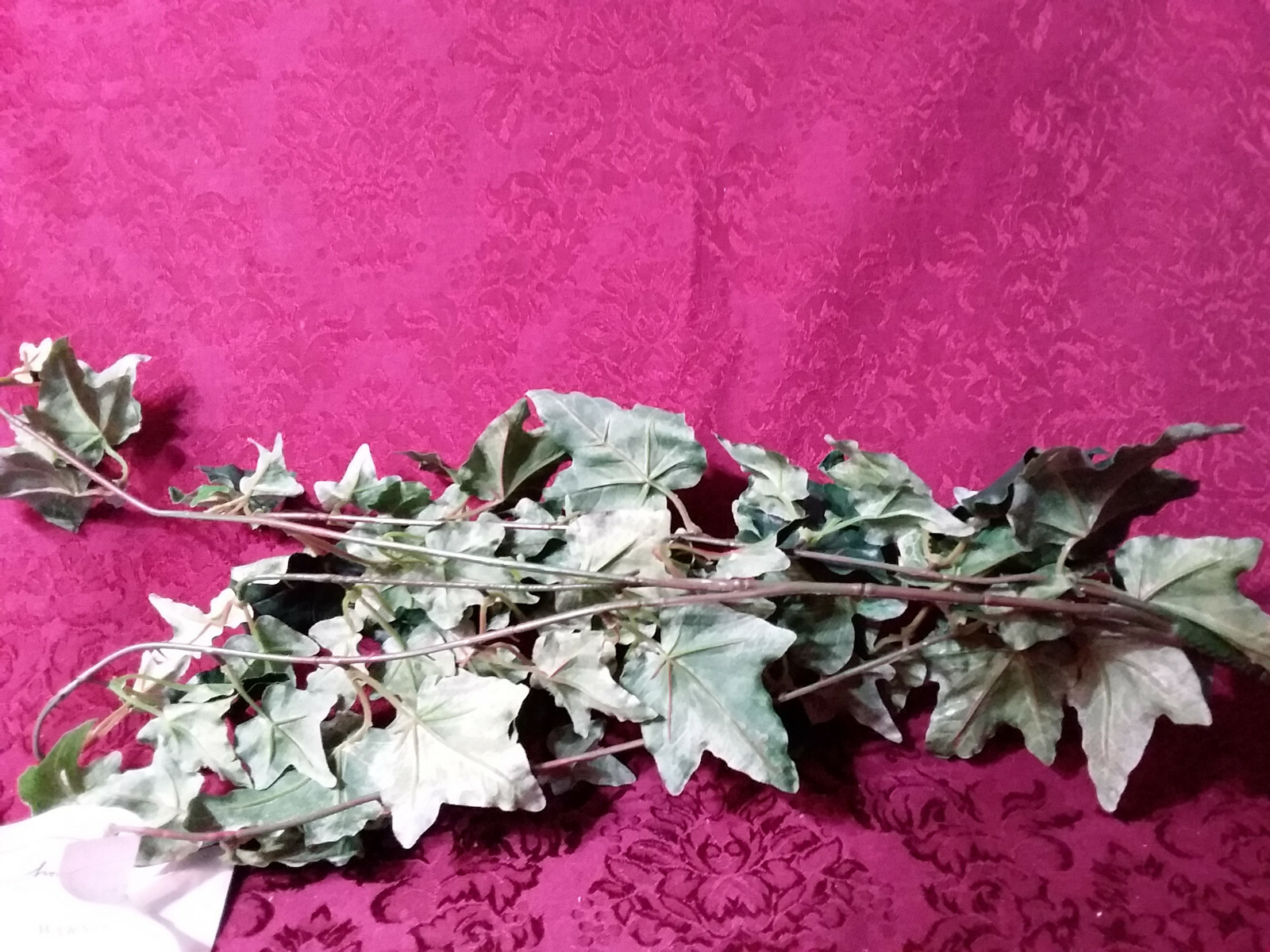 Home Interiors Greenery Ivy Spray / Hunter Green /New/ 22-24 Inches long