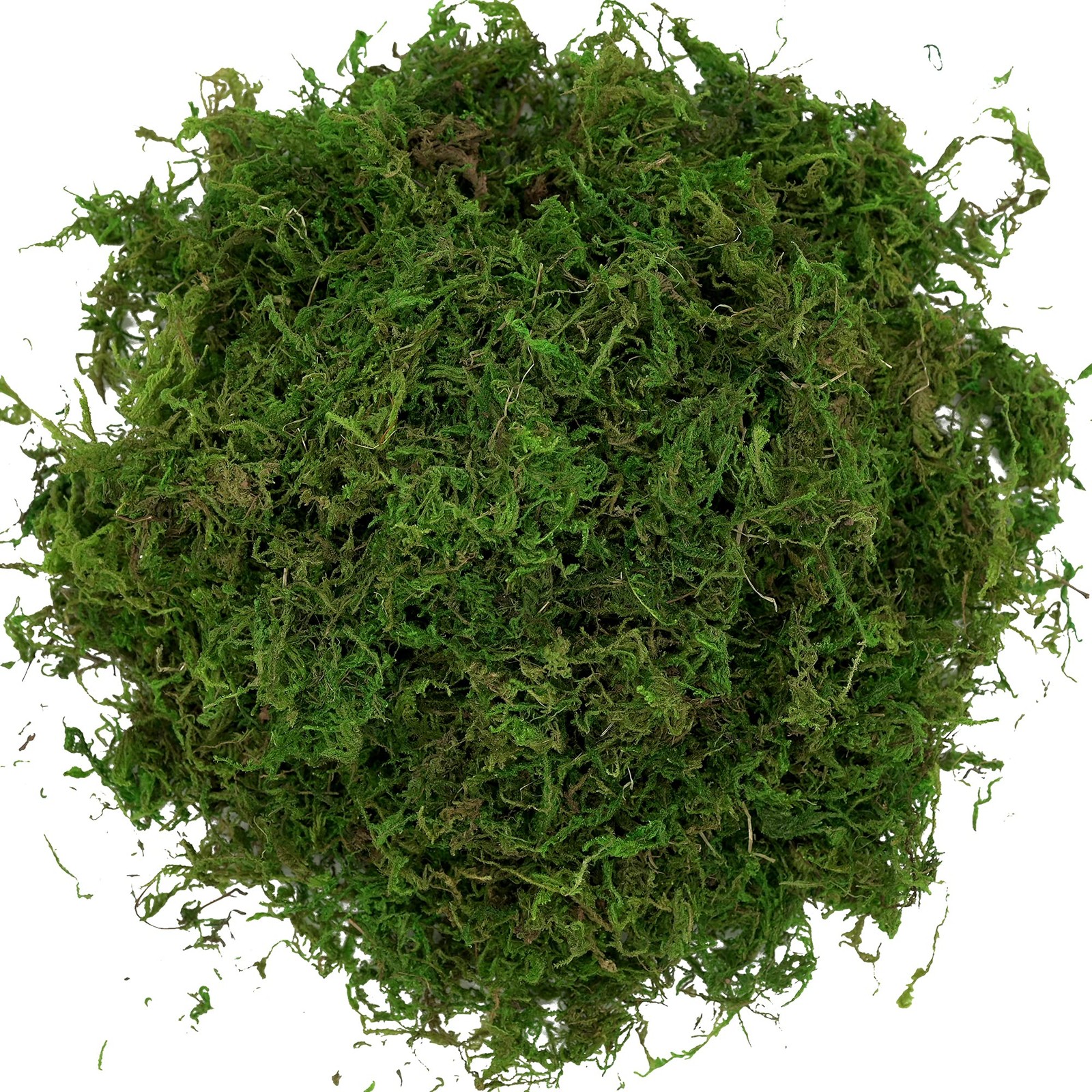 Artificial Moss 16OZ Fake Moss for Crafts Centerpieces Decor 455gr Fresh Green