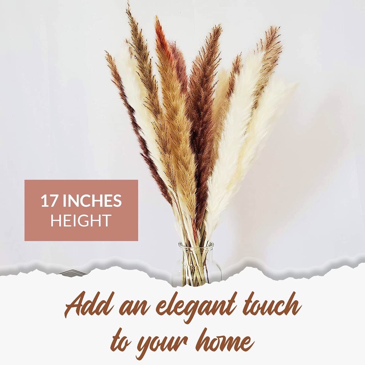 Green Empire 60pcs (15pcs Brown Pampas & 15pcs White Pampas 30pcs Reed Grass)