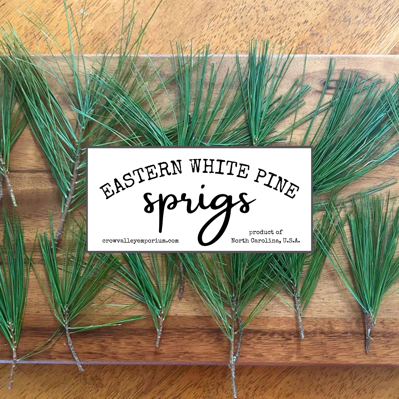 Eastern White Pine Needles, Fresh Pine Cuttings, Pine Needle Tea, Simmer Pot 8oz