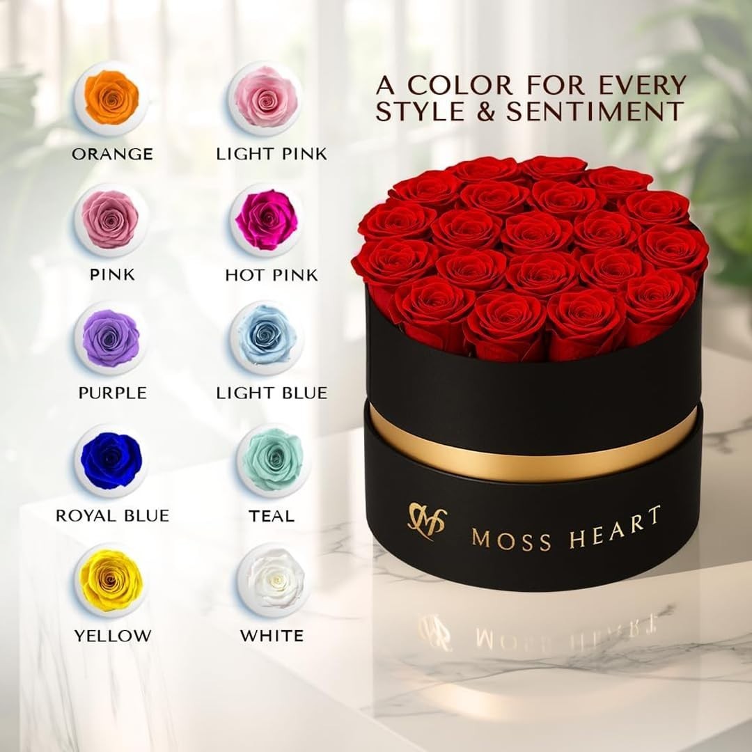 20 Mini Preserved Roses in Round Luxury Gift Box – Lasting Real Roses for Gifts,