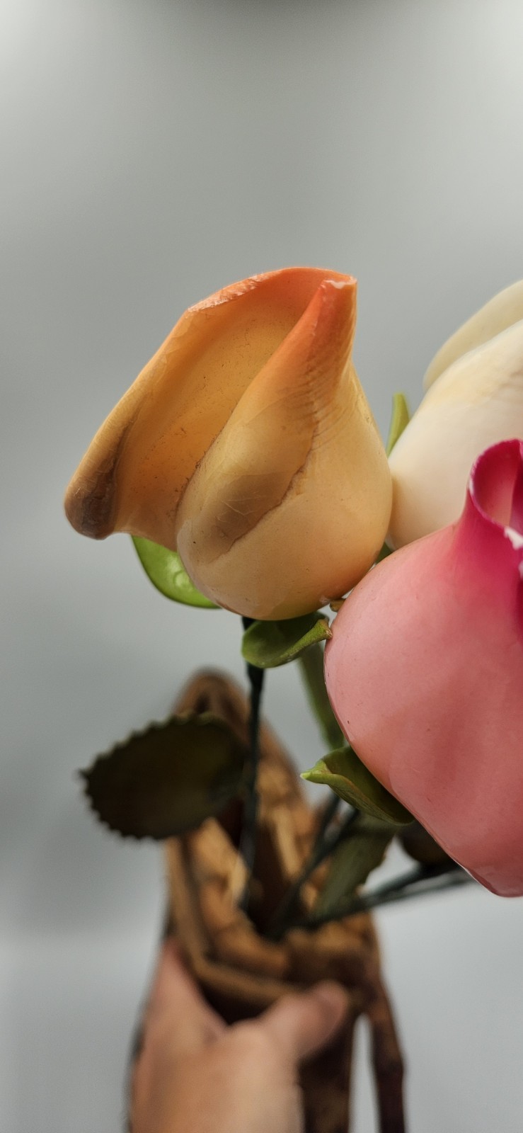 Seashell Hand Painted Long Stem Rose Buds Set of 6