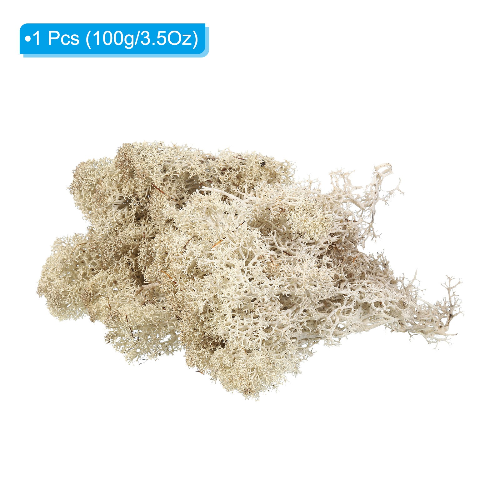 3.5 OZ Fake Moss Preserved Reindeer Moss Artificial Moss Lichen Natural