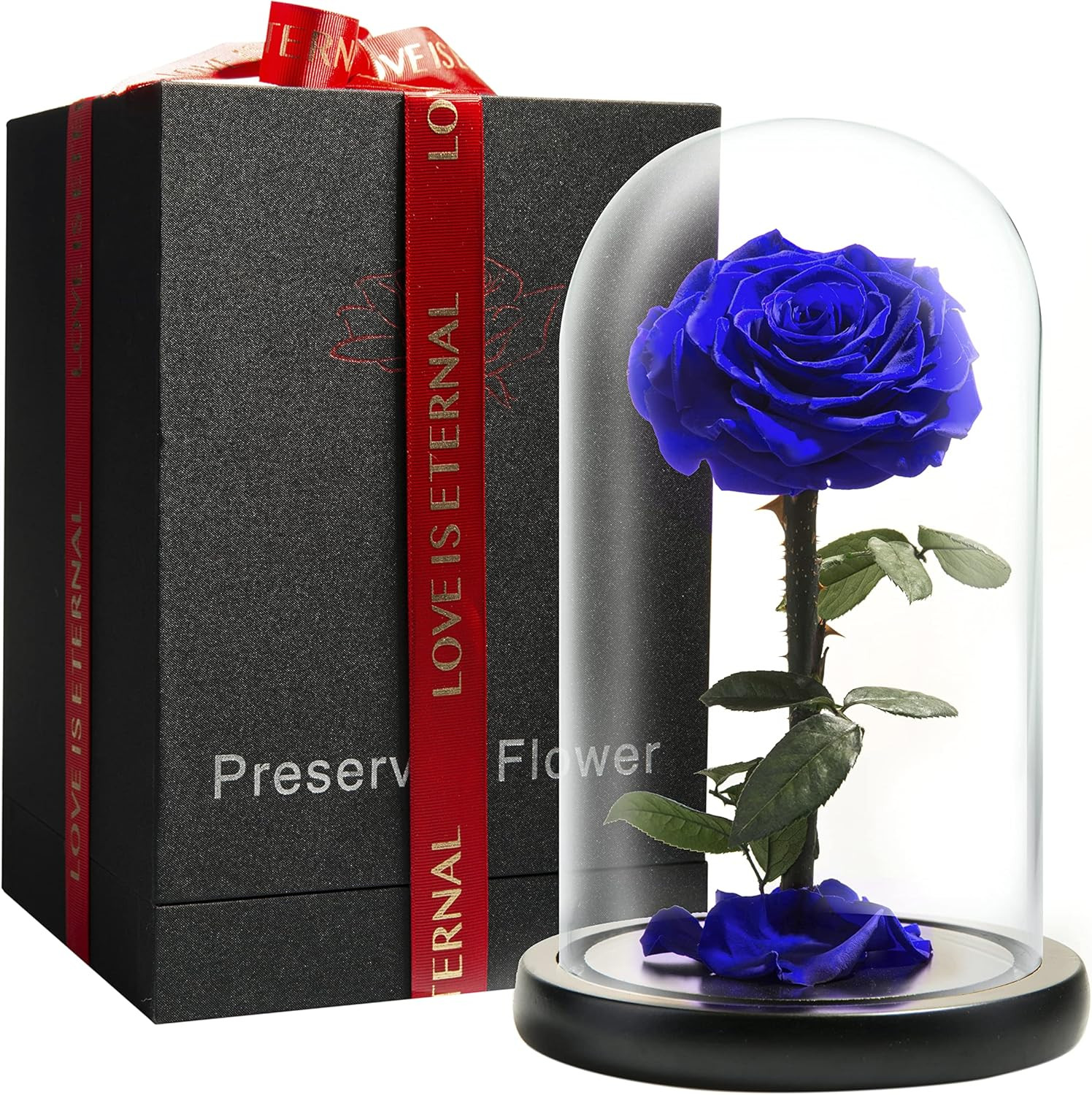 Forever Preserved Rose – Eternal Rose in Glass Dome – Beauty and the Beast Rose