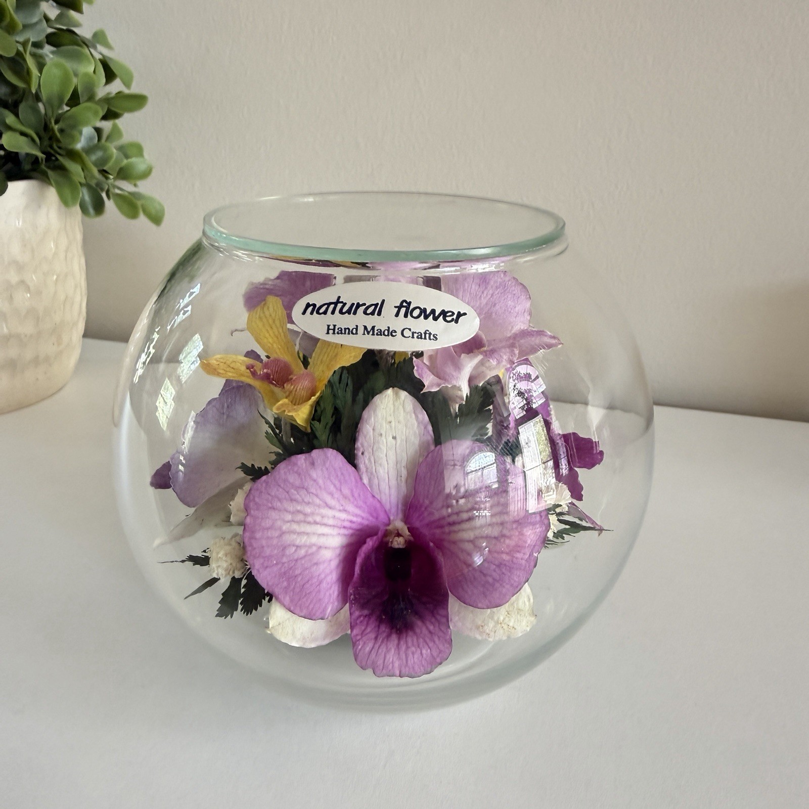 Real Preserved Flowers in Sealed Glass Bowl Floral Home Decor Purple Orchid