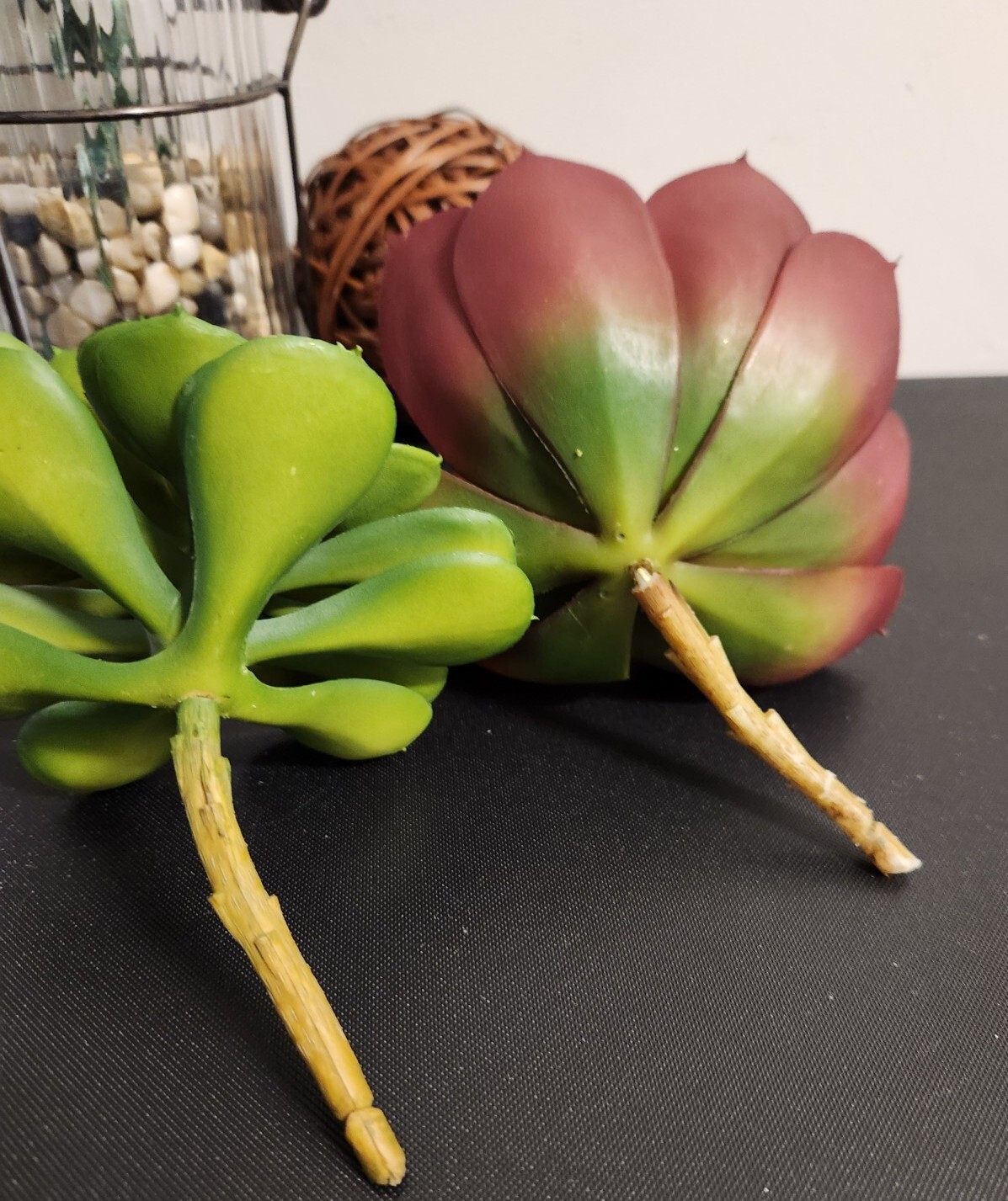 Pier 1 Succulents Set Of 2 Artificial Flowers Brand New 5″ & 7″ Diameter