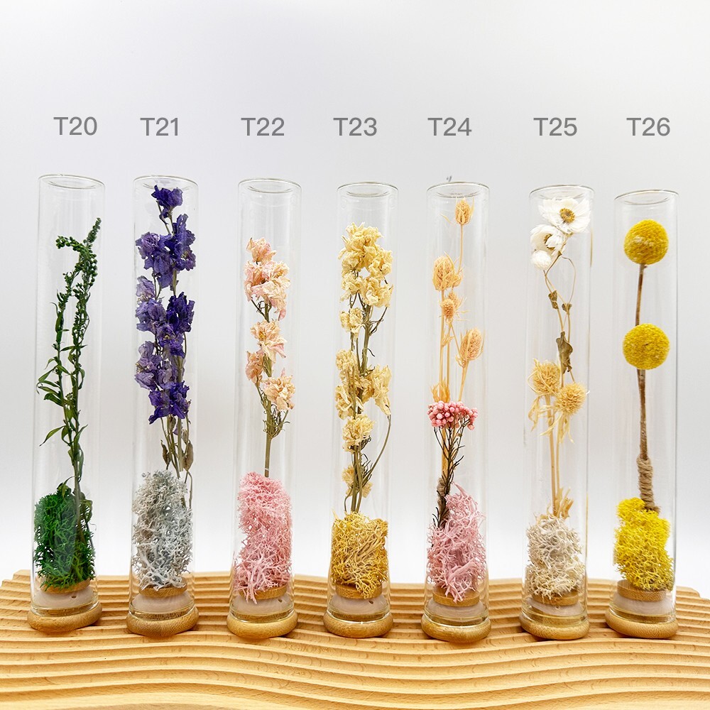 Plant specimens handmade test tube dried flowers immortal flowers holiday birthd