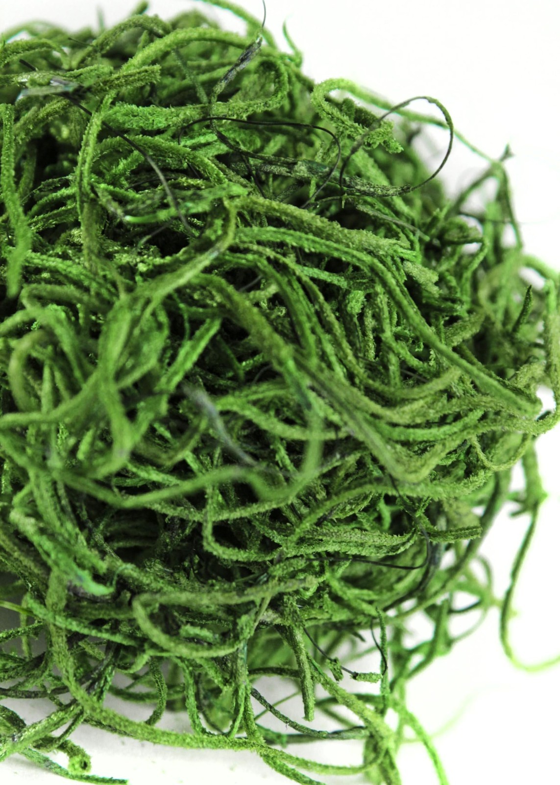 Preserved Spanish Moss for Crafts, Potted Plants, Fairy Gardens & Floral Arrange