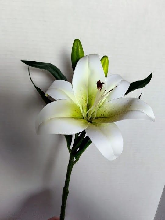 THREE 14″ white lily stems for bouquets