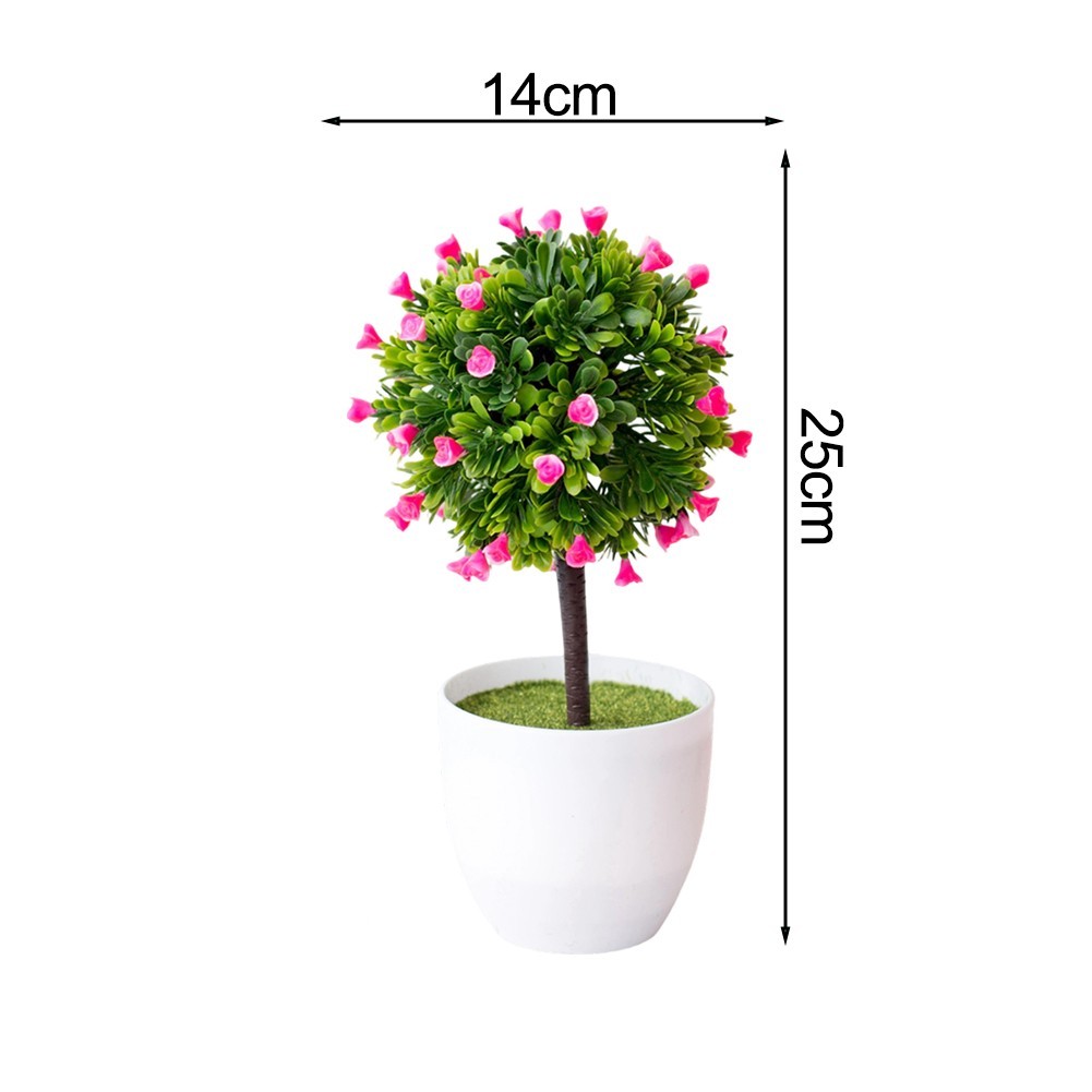 Low Maintenance Potted Flowers Yellow Purple White Pink 25 14cm Plastic
