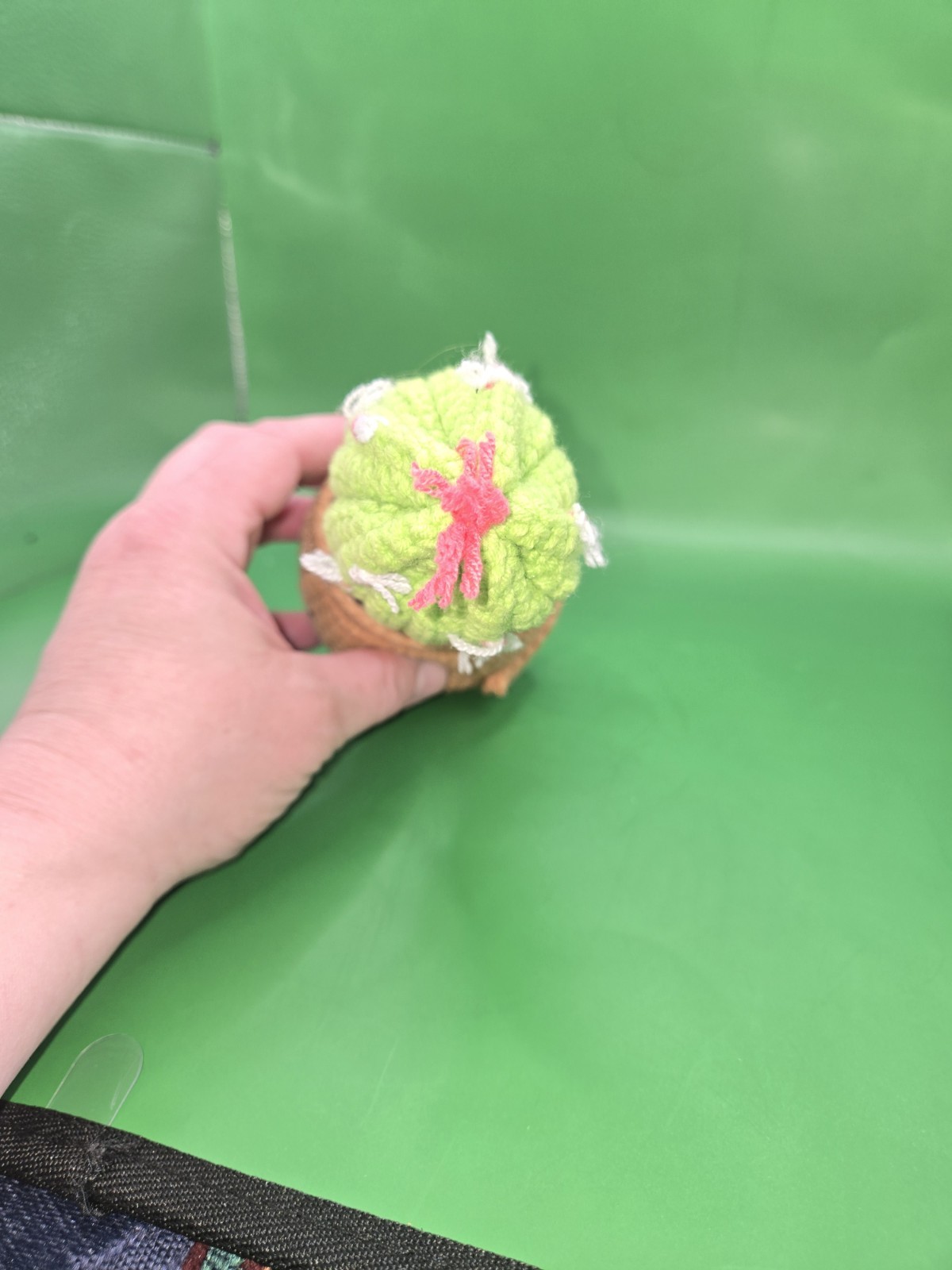Handmade Crochet Emotional Support Cactus Succulent Plant W/ Positive Message