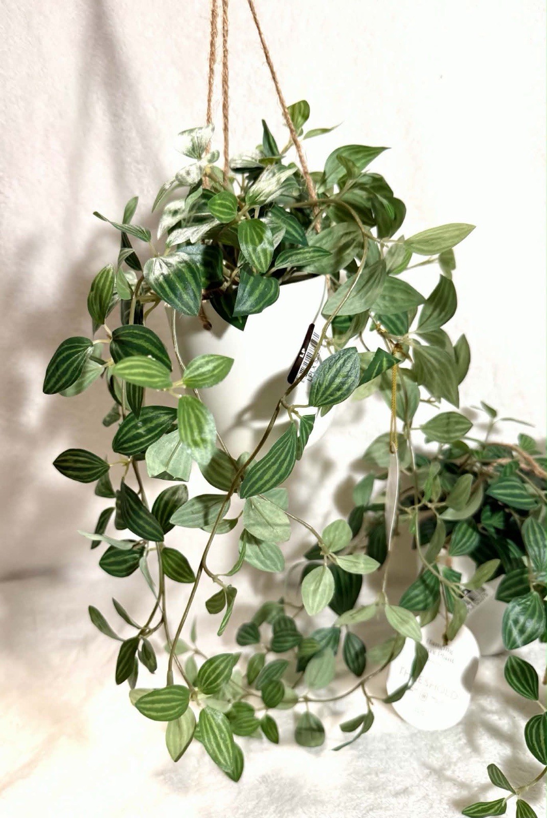 Threshold Hanging Artificial Zebrina Plant Set of 2 Green Decor New