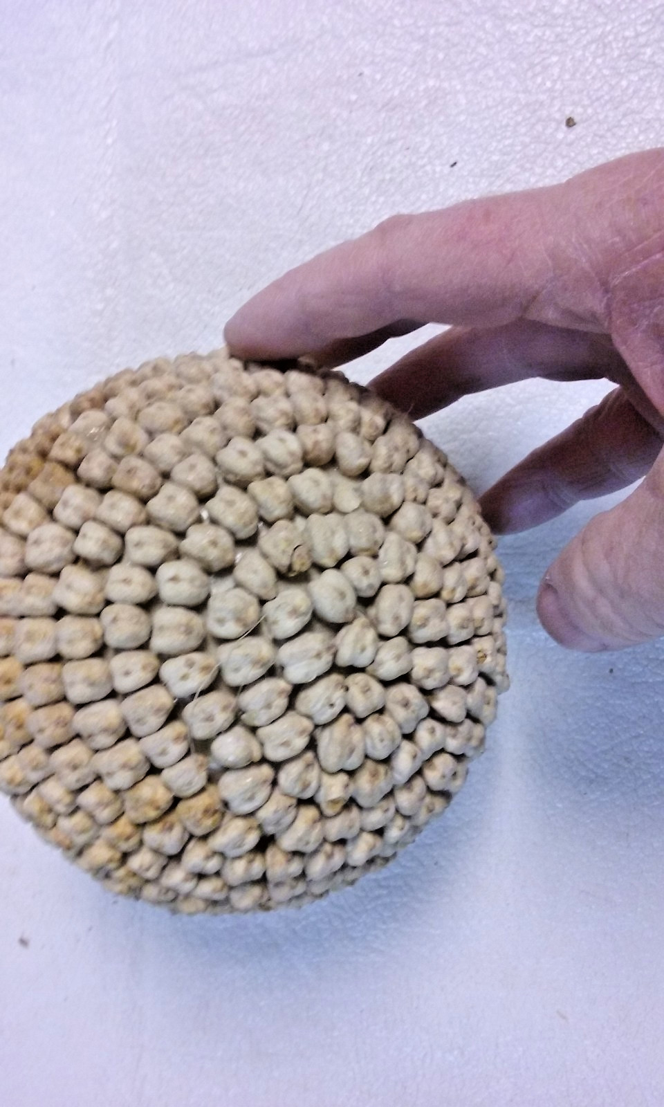 3 White Bean Seed Mosaic Decorative Ball Ornaments 5″ to 6″ wide