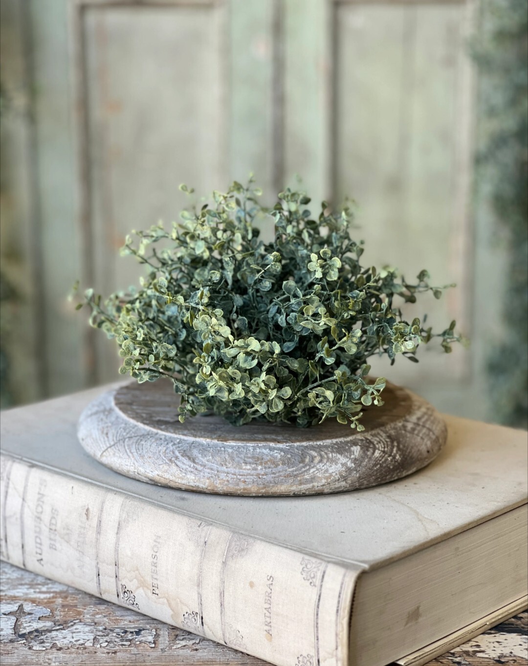 6″ Baby’s Twilight Half Sphere
