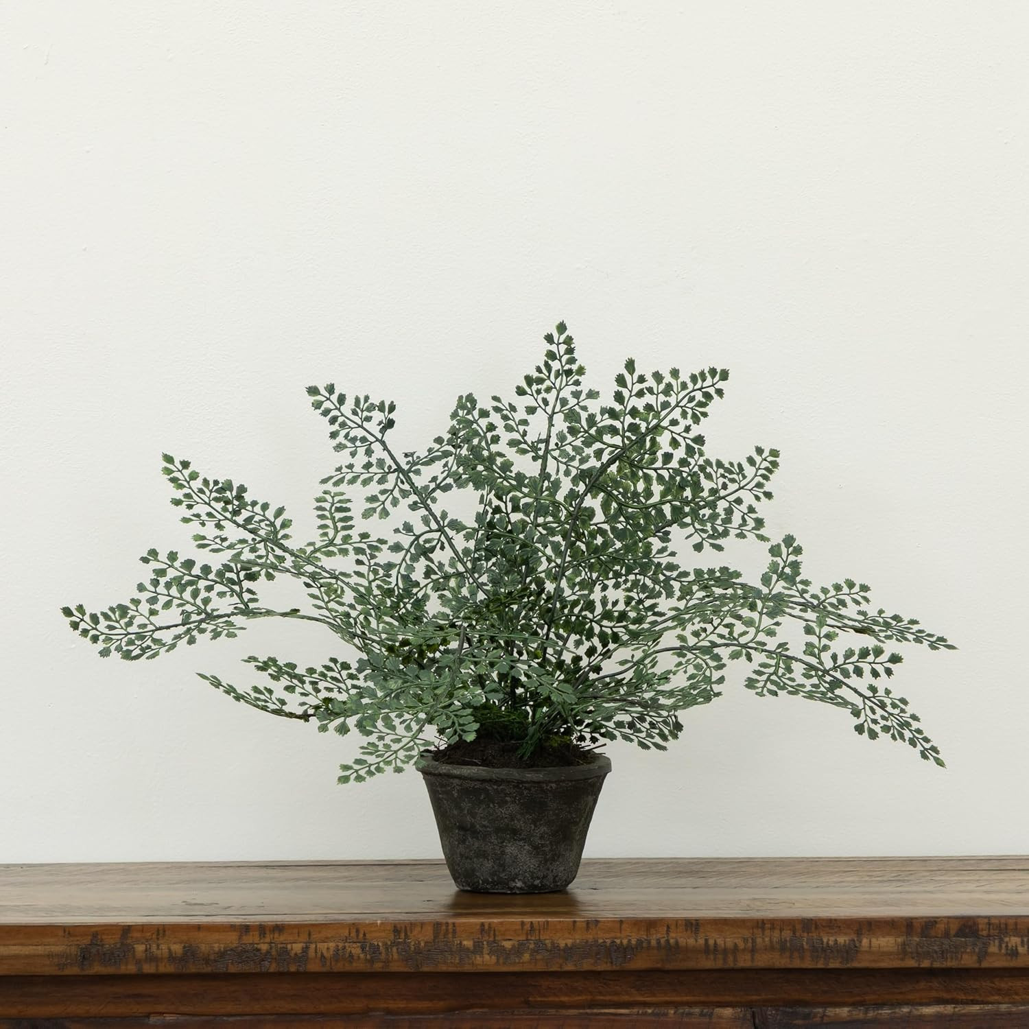 4251 Maiden Hair Artificial Plant in Planter Green Small