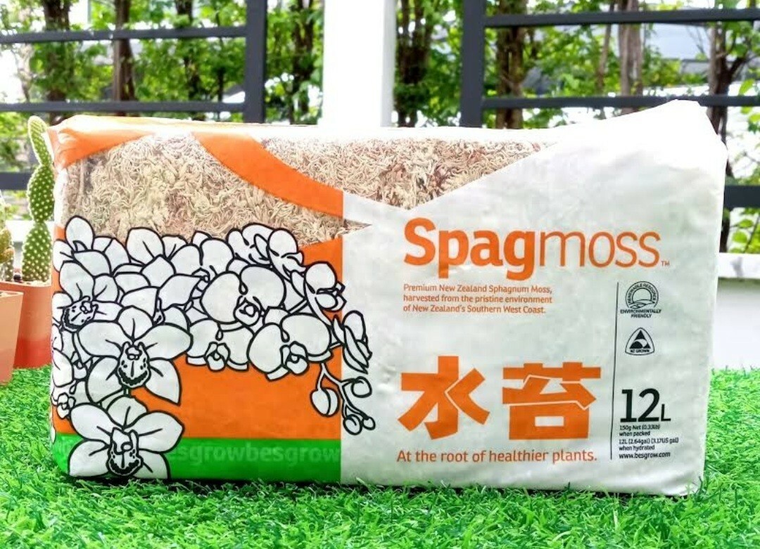 Sphagnum Moss Nursery Orchid Plant New Zealand Besegrow Long Fiber Decorationx 6
