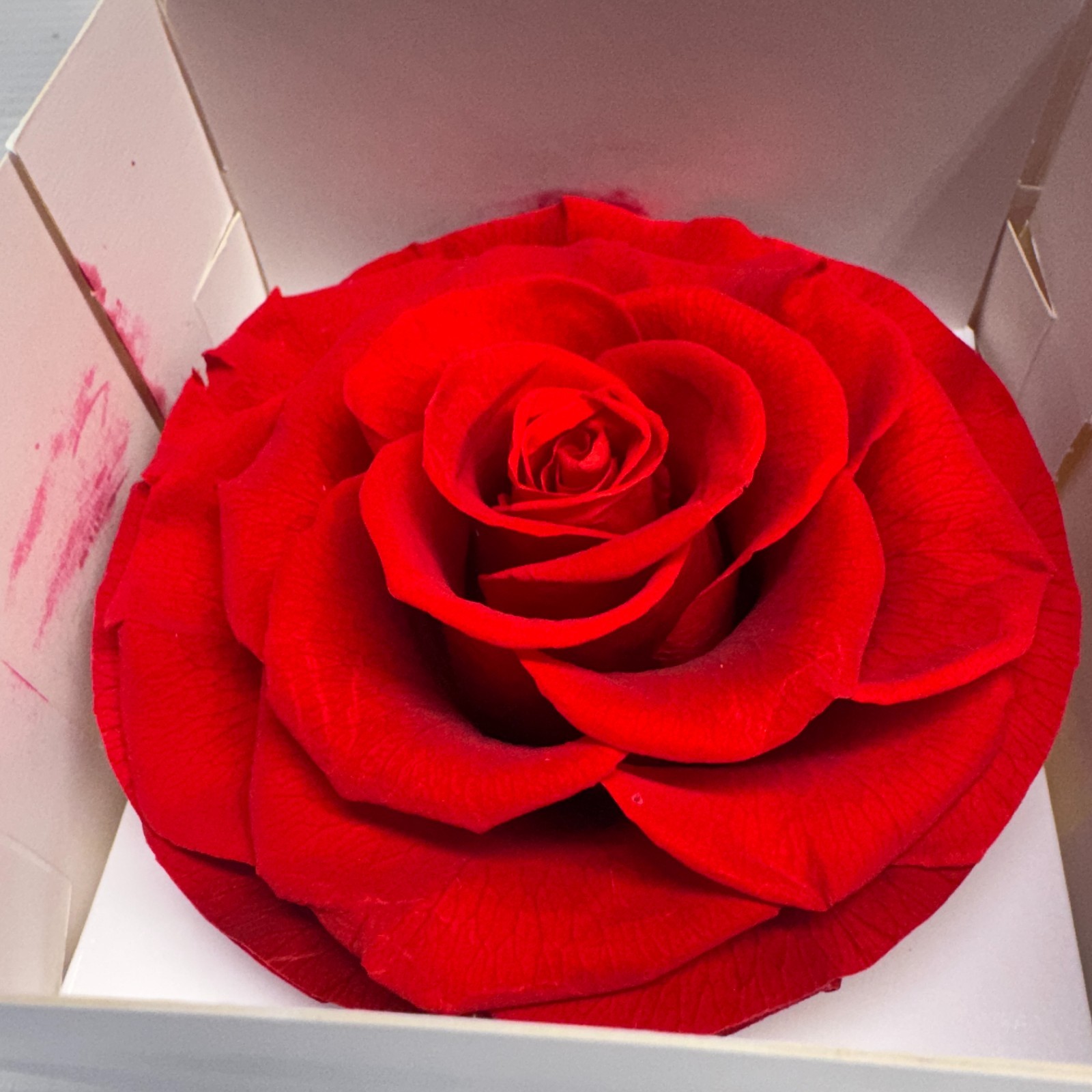Preserved Rose Gift Box Set Red & Pink Heart Rose Floral Decor 2 Pieces