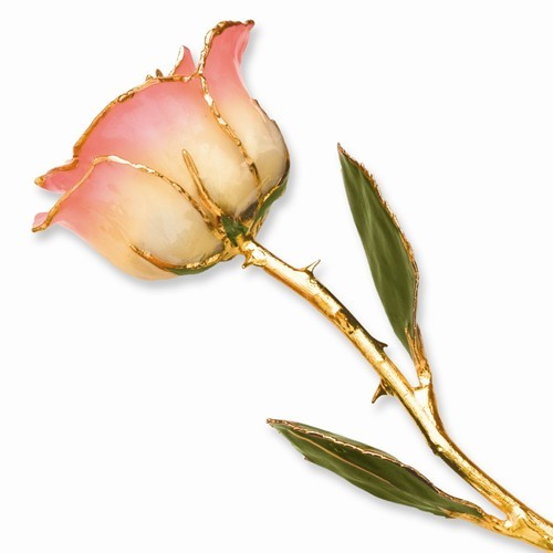 Pink and White Rose 24K Yellow Gold Dipped Lacquered Long Stem Rose 12″