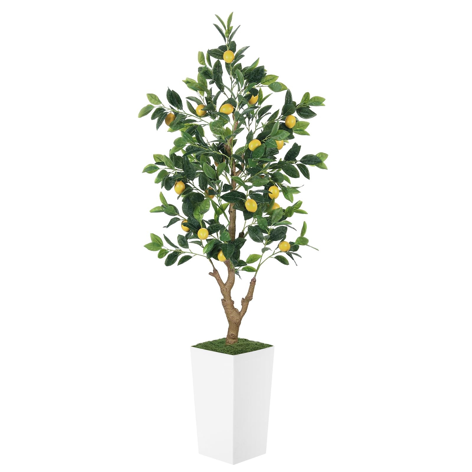 5FT Artificial Lemon Tree with Pot – 60″ Fake Lemon Tree with White Tall Plan…