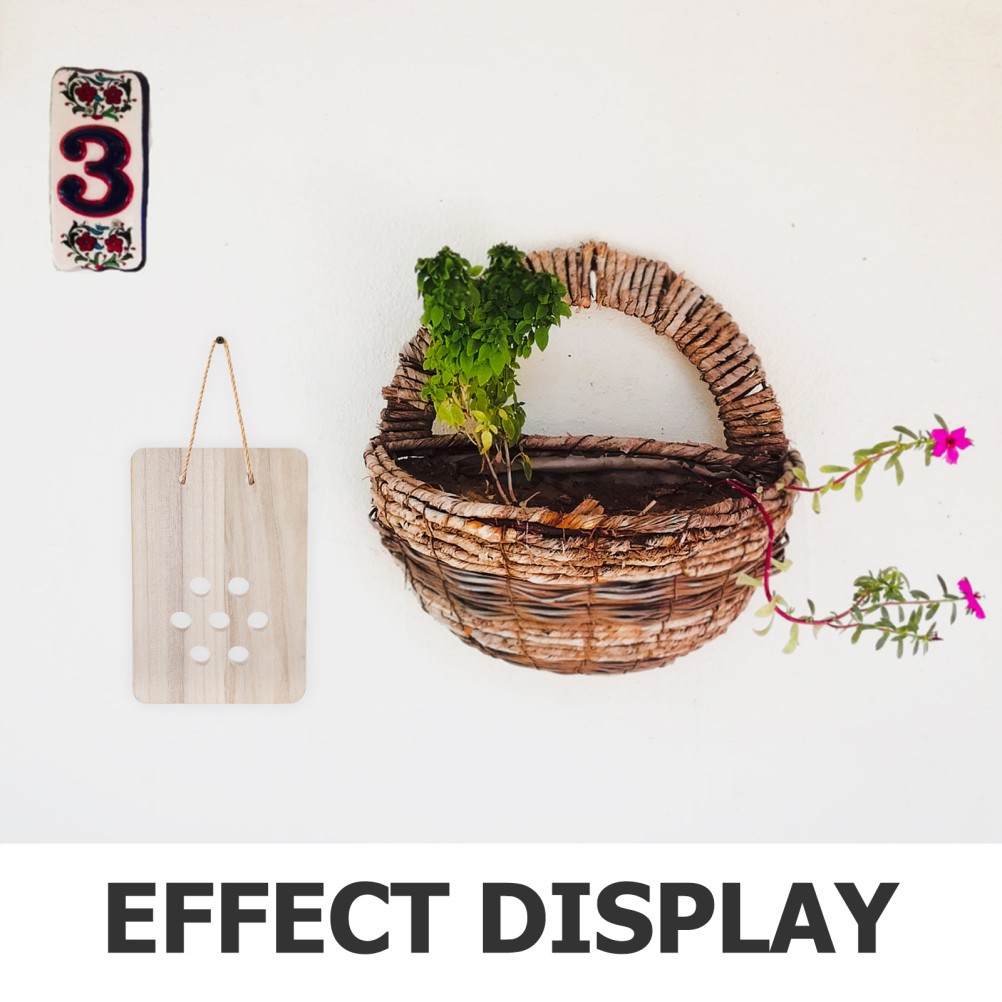 Fern Mounting Board: Wooden Planter – Wall Display Decorative