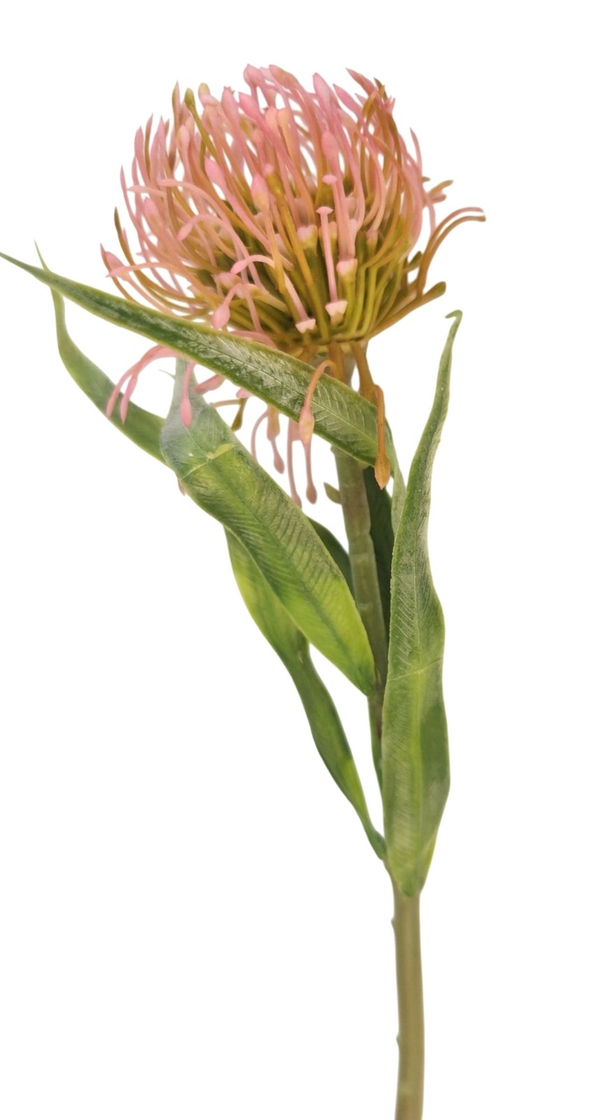 Pink Blush Pincushion Protea Stem Faux Protea Flower Artificial Floral Decor